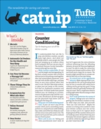 Catnip July 01, 2019 Issue Cover