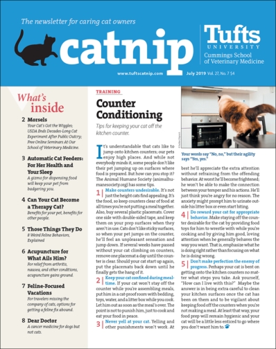 Catnip July 01, 2019 Issue Cover