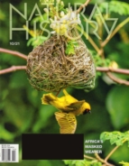Natural-History October 01, 2021 Issue Cover