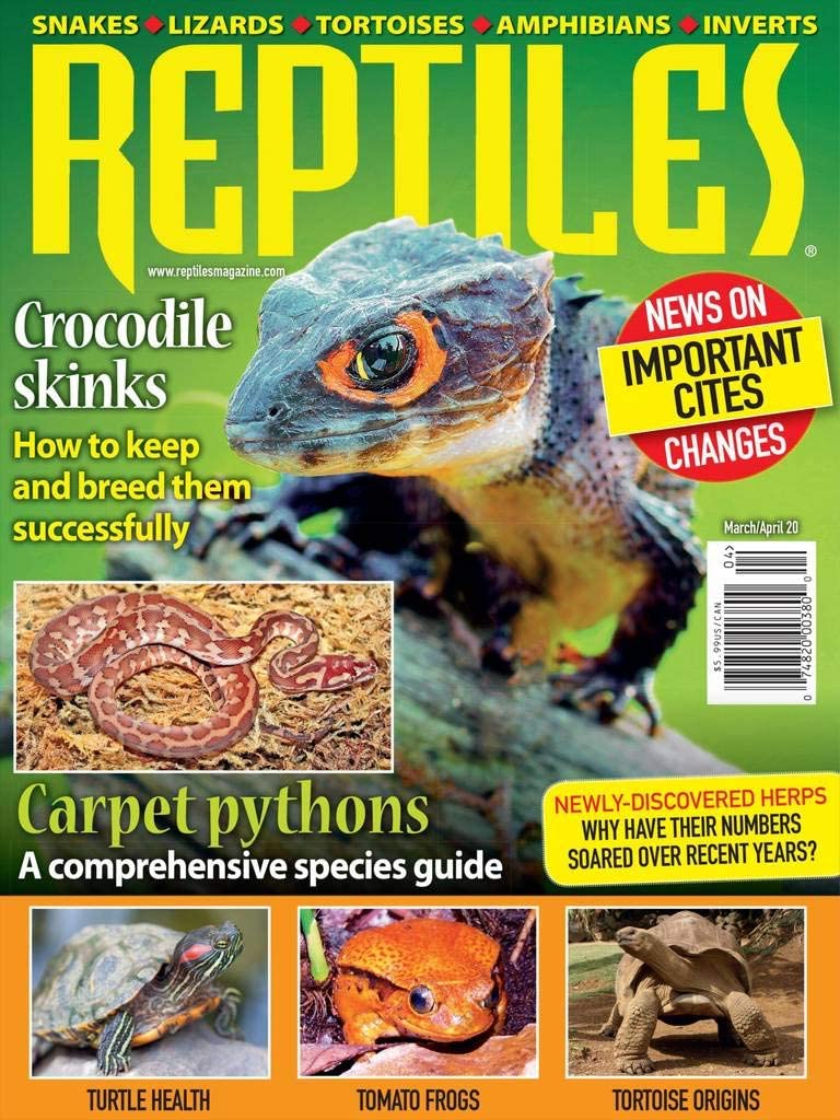 Reptiles March 01, 2020 Issue Cover
