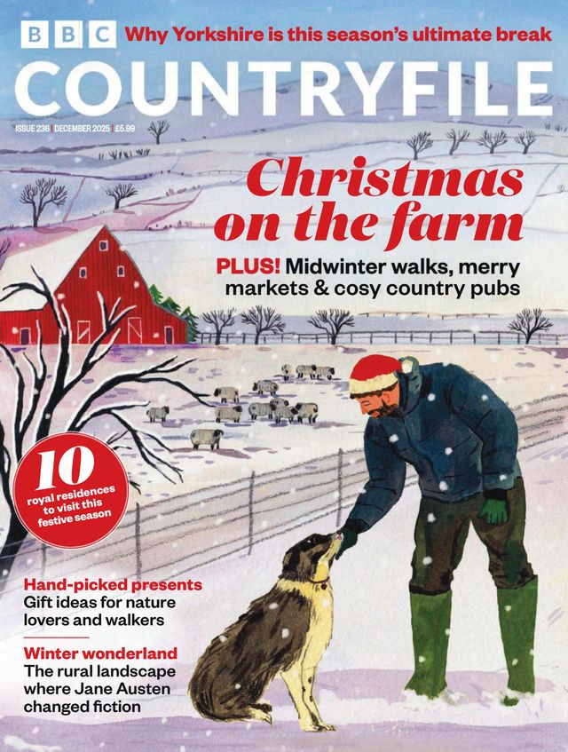 BBC-Countryfile December 01, 2025 Issue Cover