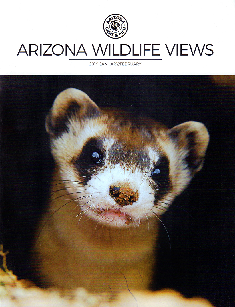 Arizona-Wildlife-Views January 01, 2019 Issue Cover