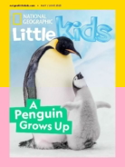 National-Geographic-Little-Kids May 01, 2025 Issue Cover