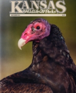 Kansas-Wildlife-and-Parks May 01, 2016 Issue Cover