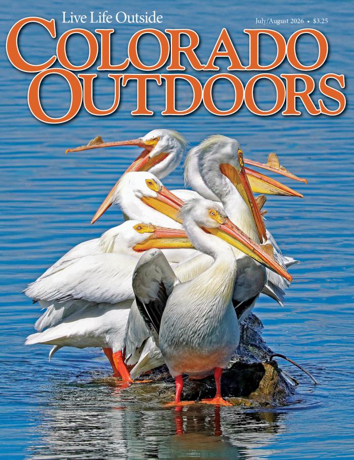 Colorado Outdoors July 01, 2026 Issue Cover