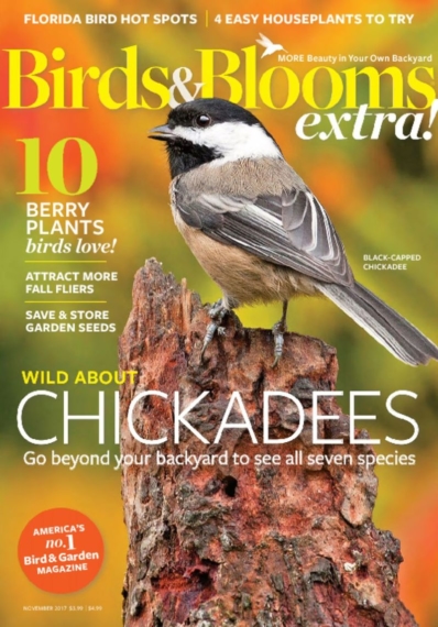 Birds & Blooms Extra November 01, 2017 Issue Cover