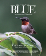 Michigan-Blue April 01, 2019 Issue Cover