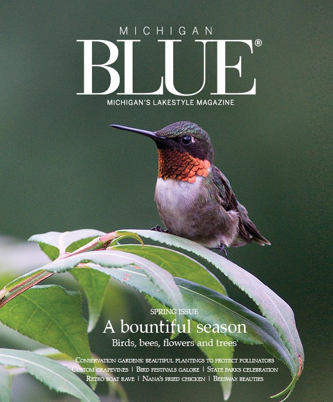 Michigan-Blue April 01, 2019 Issue Cover