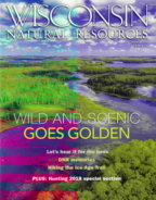 Wisconsin-Natural-Resources September 01, 2018 Issue Cover
