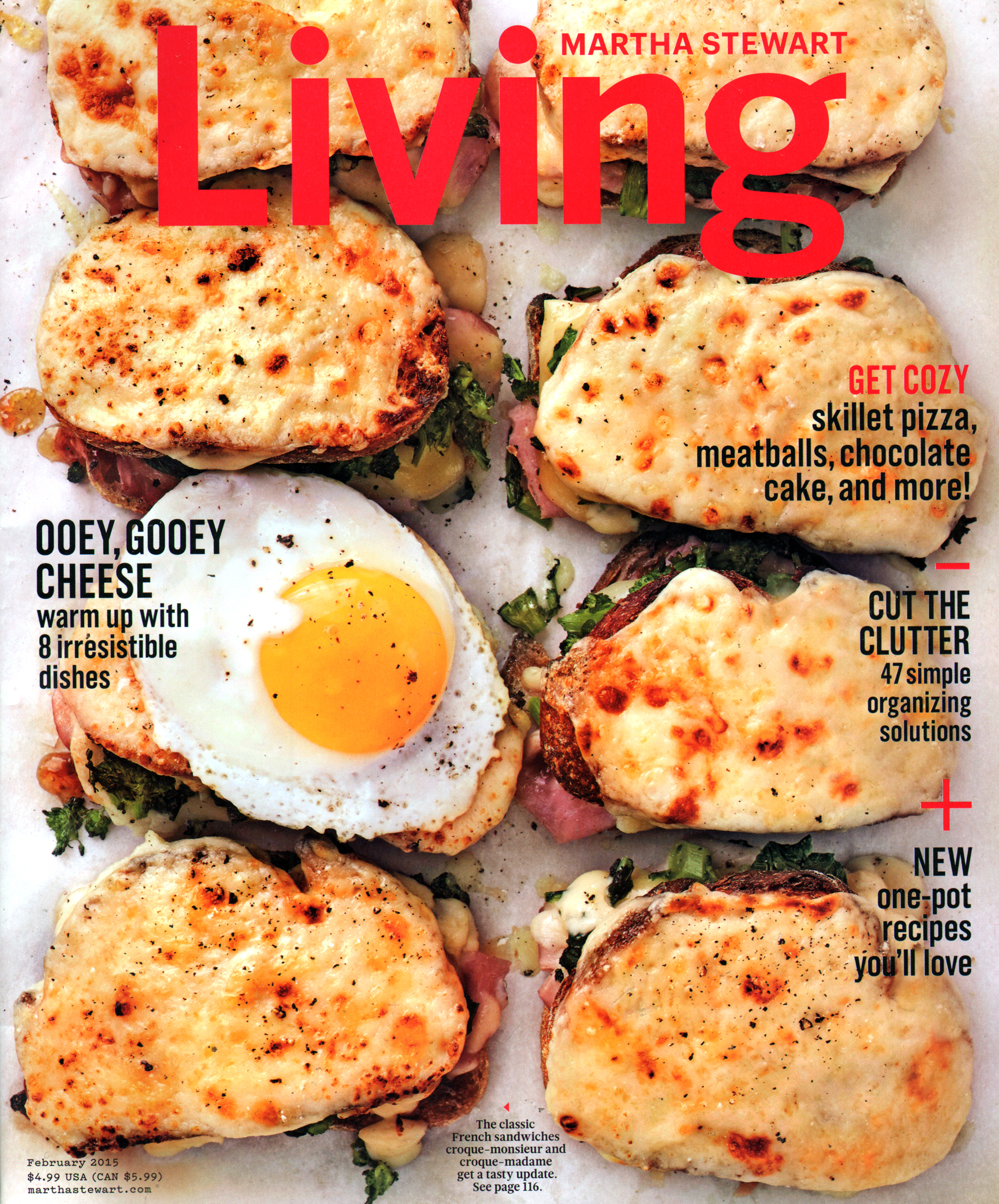 Martha-Stewart-Living February 01, 2015 Issue Cover