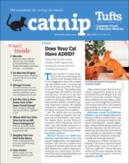 Catnip May 01, 2022 Issue Cover