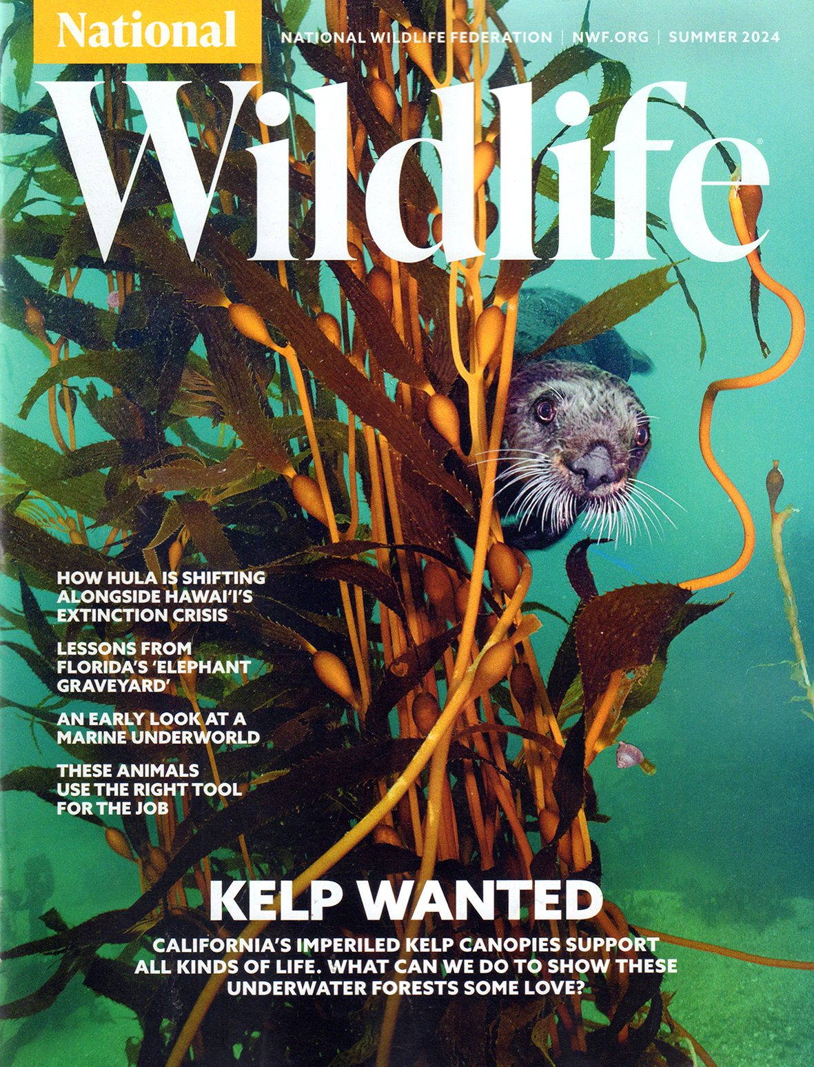 National-Wildlife June 01, 2024 Issue Cover