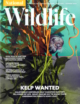 National-Wildlife June 01, 2024 Issue Cover