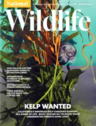 National-Wildlife June 01, 2024 Issue Cover