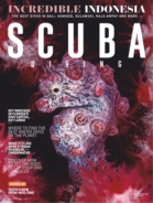 Scuba-Diving April 01, 2019 Issue Cover