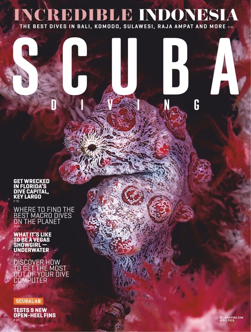 Scuba-Diving April 01, 2019 Issue Cover