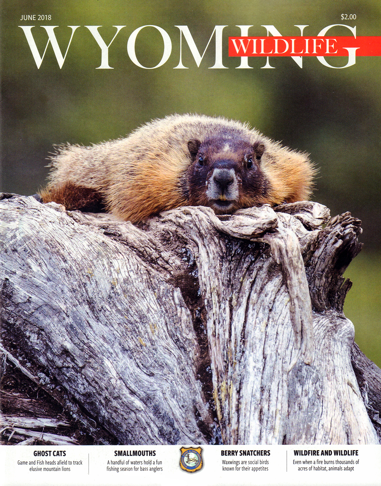Wyoming-Wildlife June 01, 2018 Issue Cover