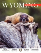 Wyoming-Wildlife June 01, 2018 Issue Cover