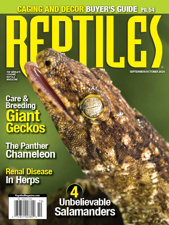 Reptiles September 01, 2024 Issue Cover