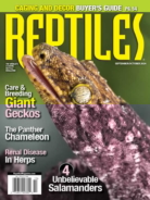 Reptiles September 01, 2024 Issue Cover