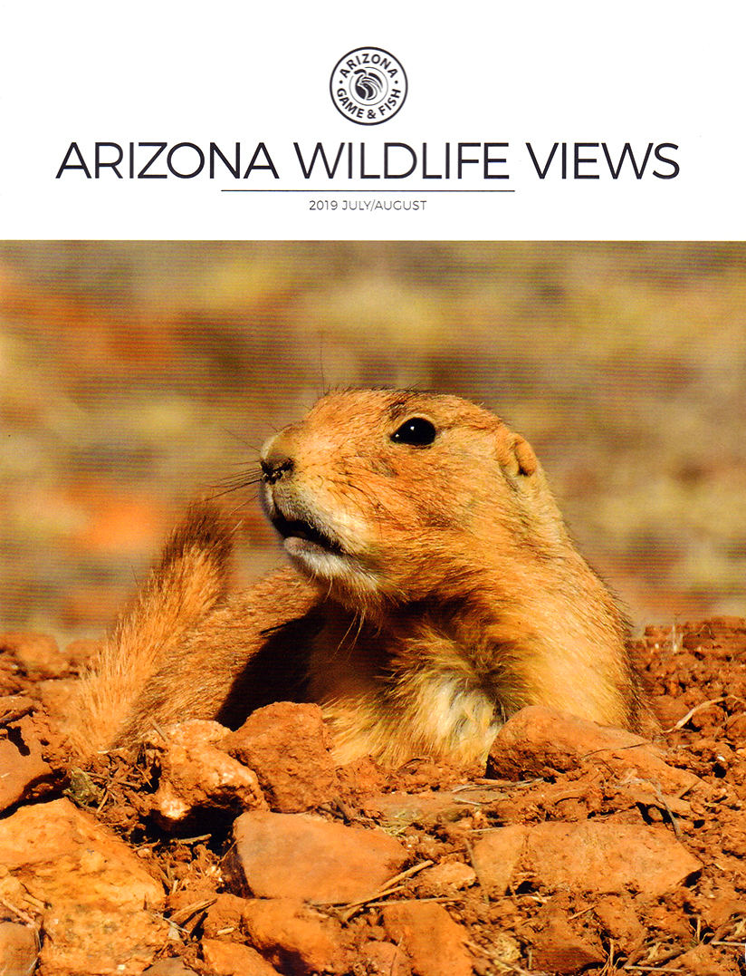 Arizona-Wildlife-Views July 01, 2019 Issue Cover