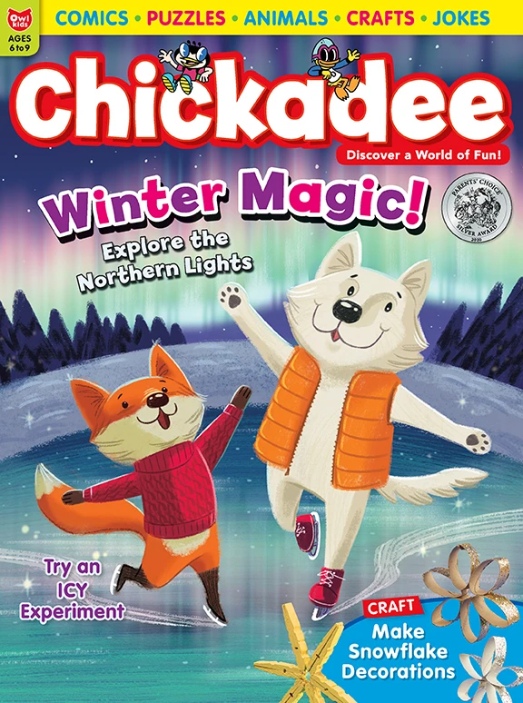 chickaDEE December 01, 2020 Issue Cover