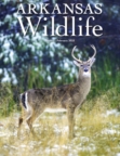 Arkansas Wildlife January 01, 2026 Issue Cover