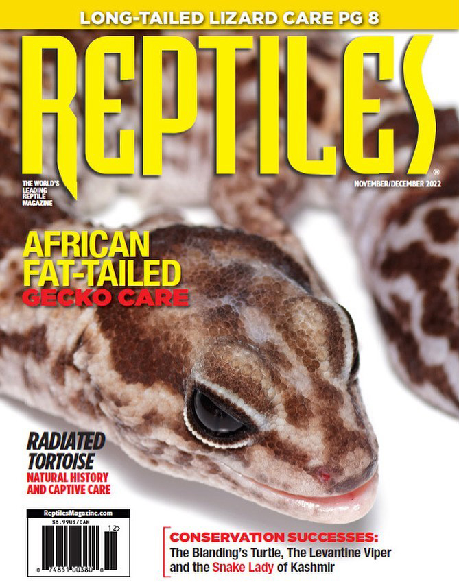 Reptiles November 01, 2022 Issue Cover