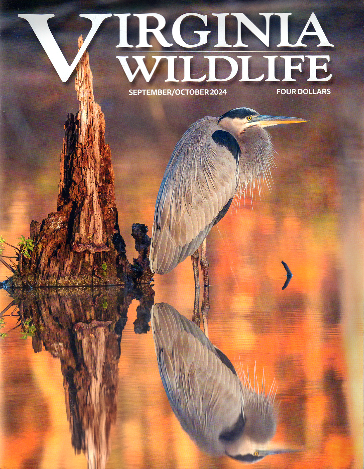 Virginia-Wildlife September 01, 2024 Issue Cover
