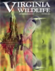 Virginia-Wildlife September 01, 2024 Issue Cover