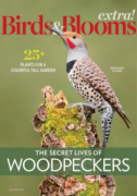 Birds & Blooms Extra September 01, 2026 Issue Cover
