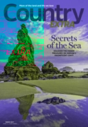 Country-Extra March 01, 2017 Issue Cover