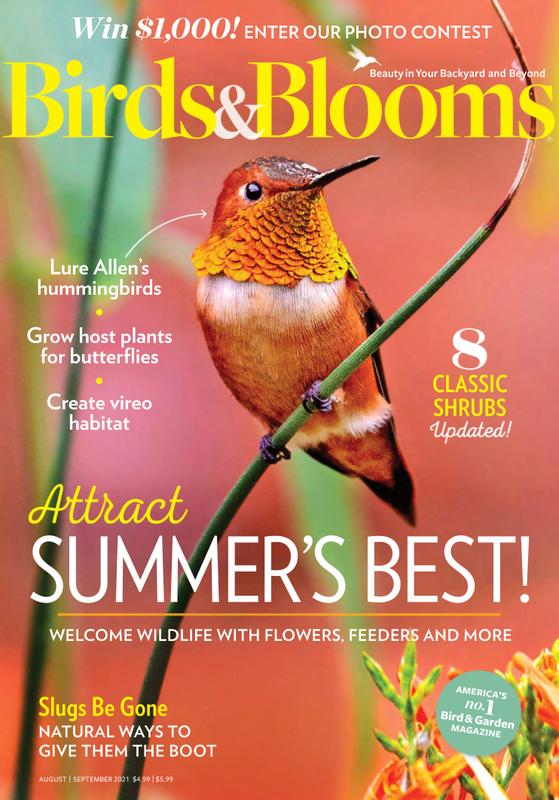 Birds-and-Blooms August 01, 2021 Issue Cover