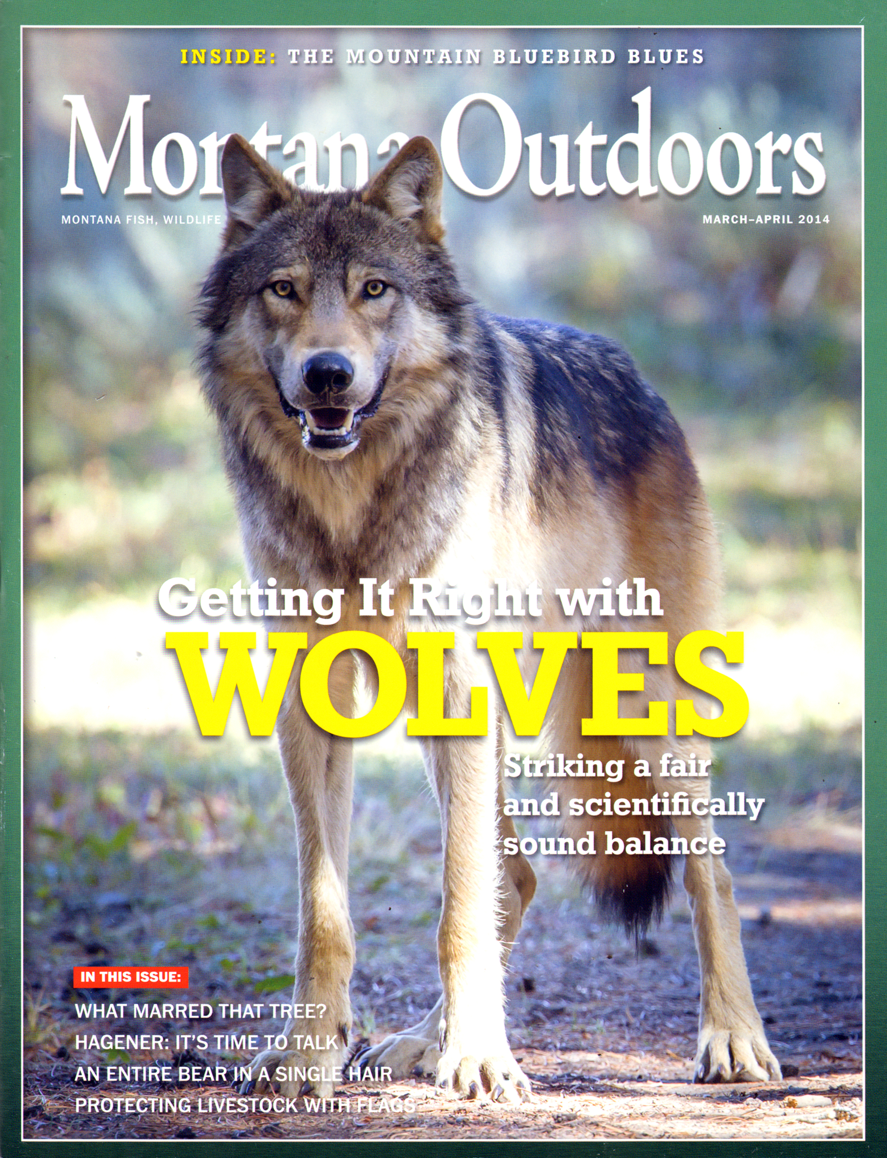 Montana-Outdoors March 01, 2014 Issue Cover