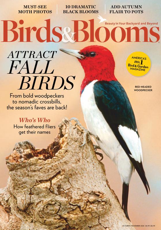 Birds-and-Blooms October 01, 2020 Issue Cover