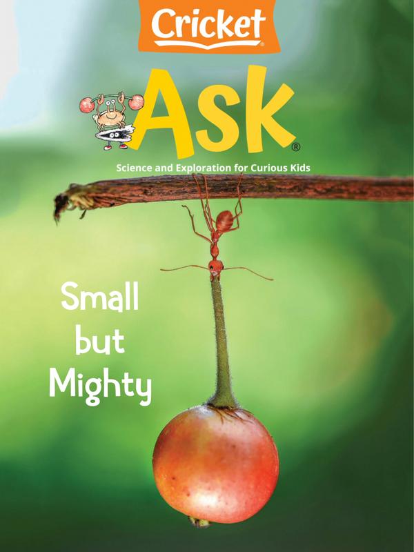 ask April 01, 2021 Issue Cover