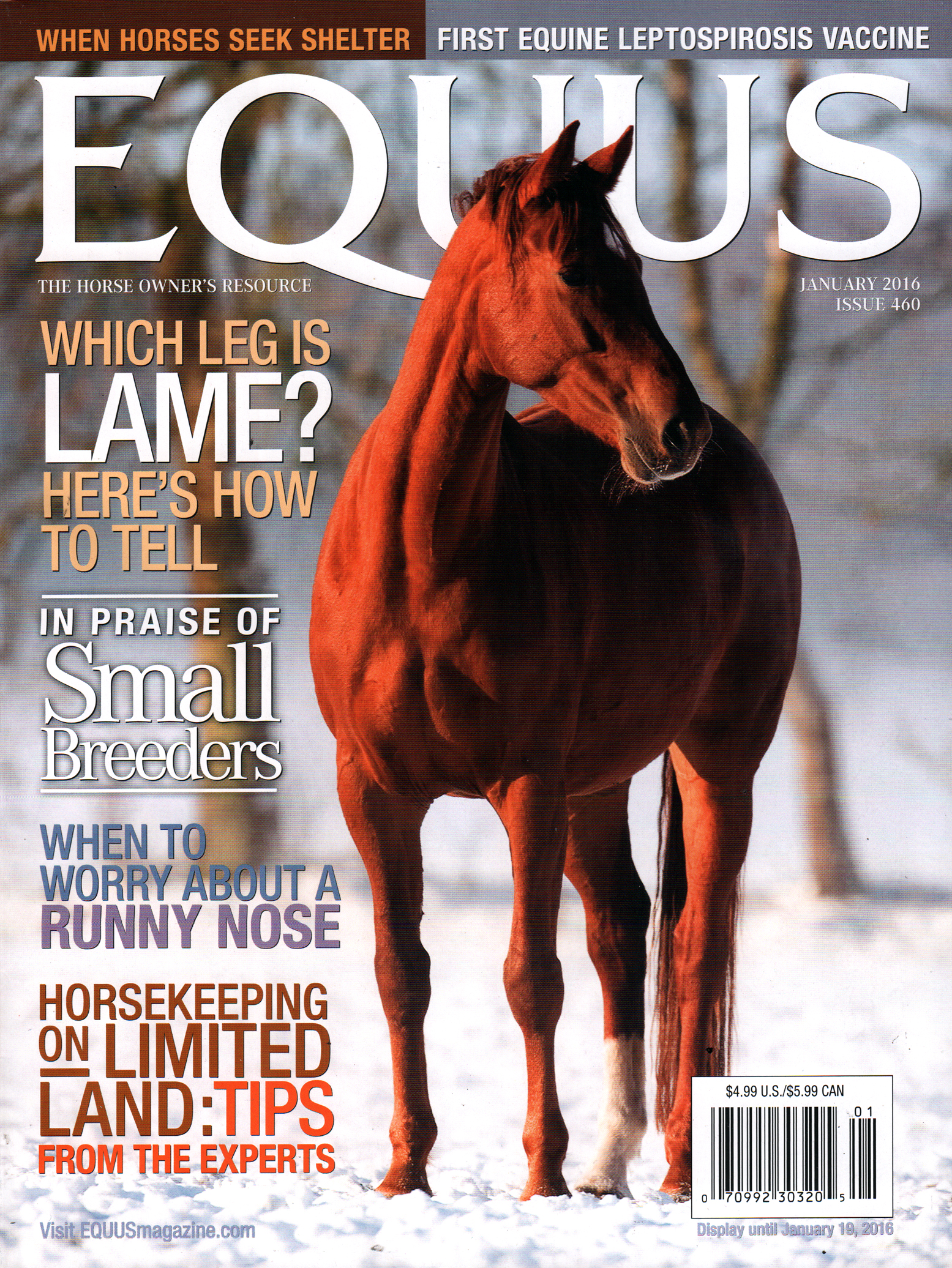 Equus January 01, 2016 Issue Cover