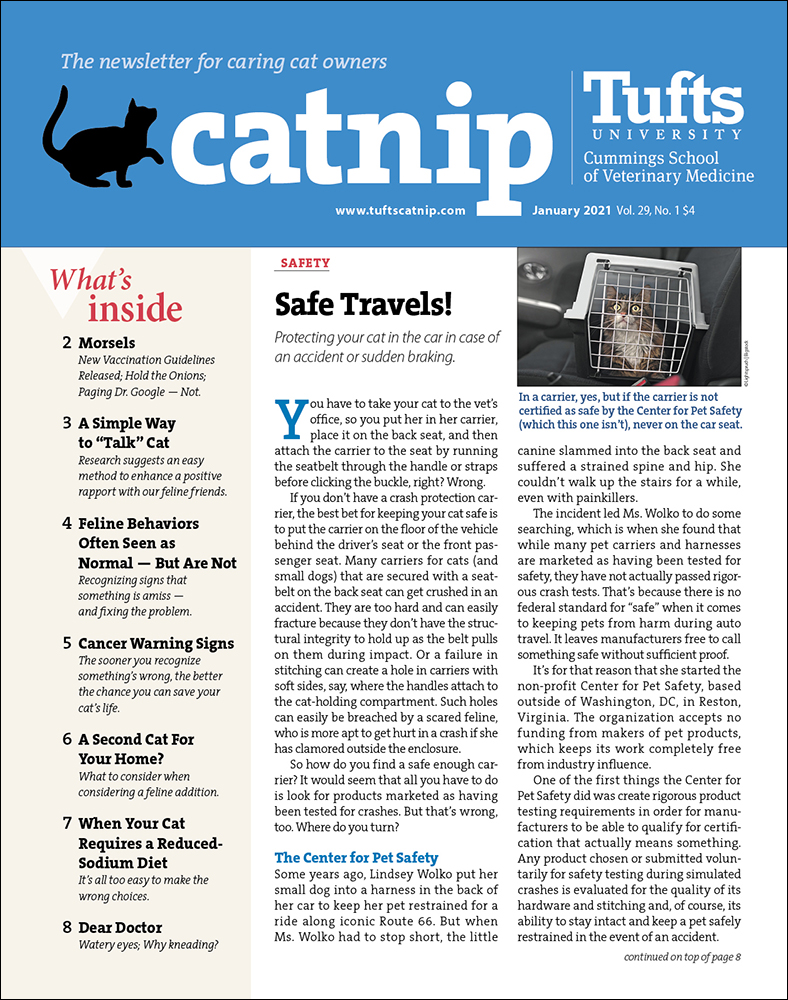 Catnip January 01, 2021 Issue Cover