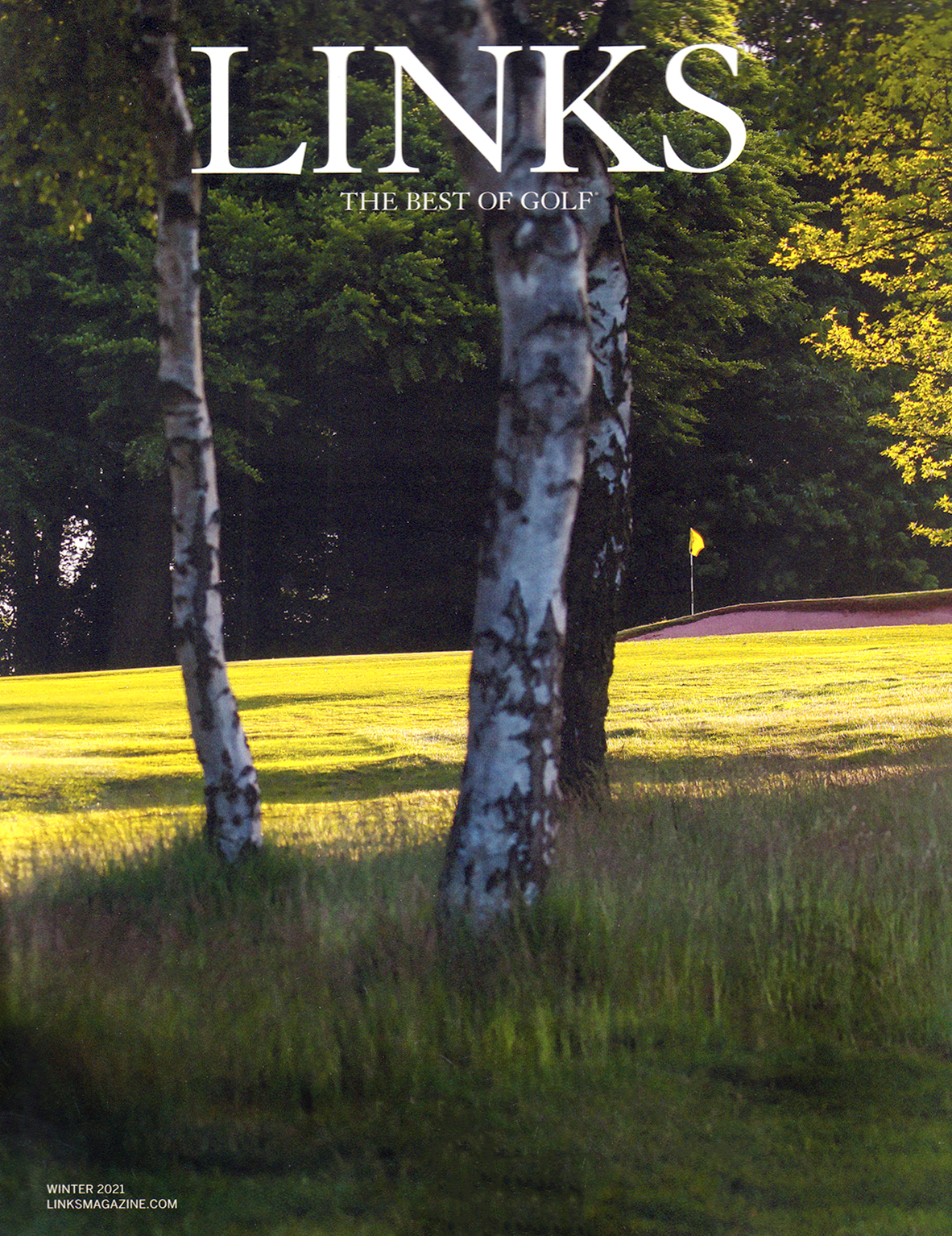 LINKS January 01, 2021 Issue Cover
