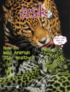 ask May 01, 2016 Issue Cover