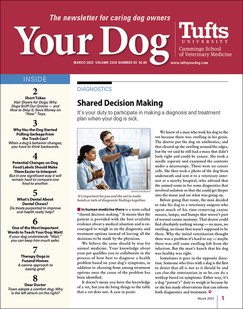 Your-Dog March 01, 2023 Issue Cover