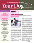 Your-Dog March 01, 2023 Issue Cover