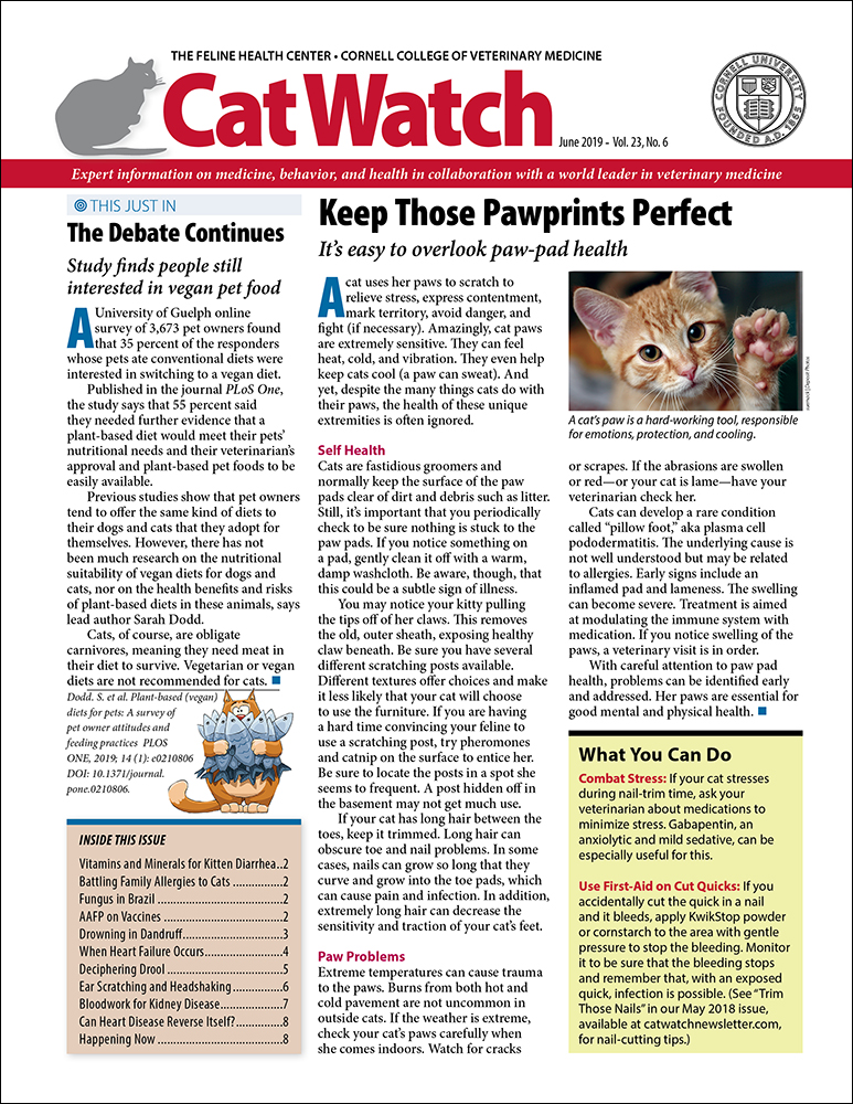 Catwatch June 01, 2019 Issue Cover