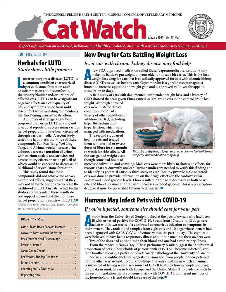 Catwatch January 01, 2021 Issue Cover