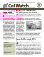 Catwatch January 01, 2021 Issue Cover