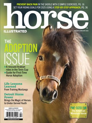 Horse-Illustrated January 01, 2025 Issue Cover