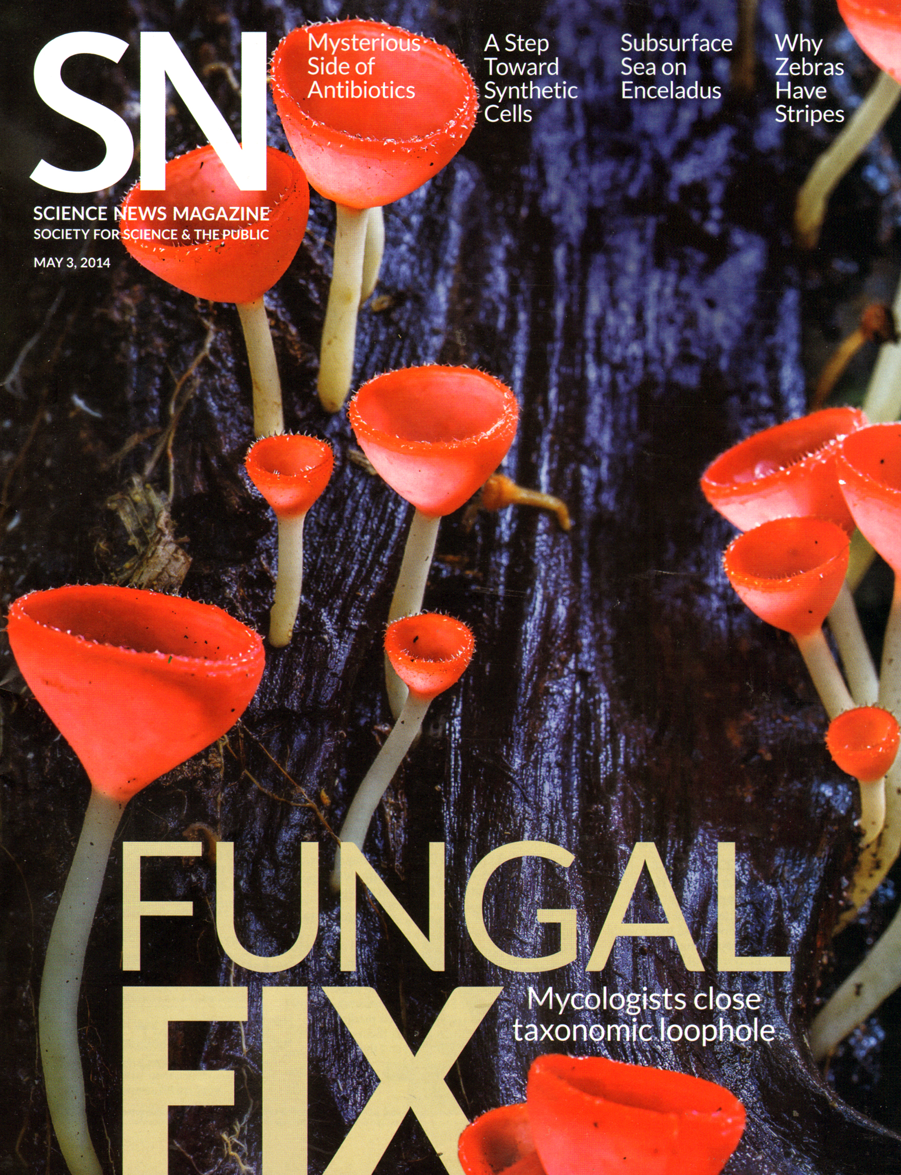 Science-News May 03, 2014 Issue Cover