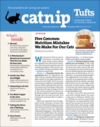 Catnip December 02, 2020 Issue Cover