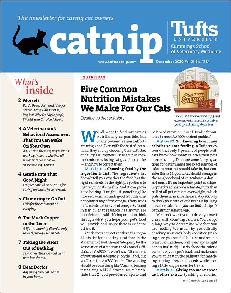Catnip December 02, 2020 Issue Cover