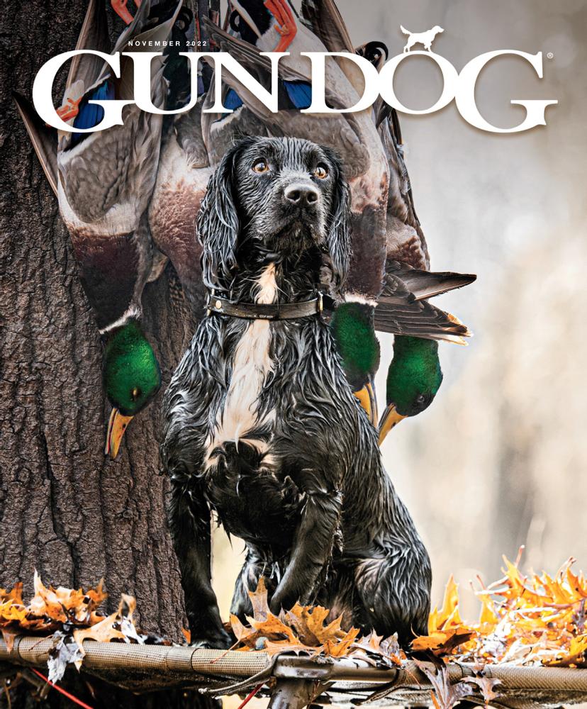 Gun-Dog November 01, 2022 Issue Cover